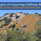 California_Biodiversity_Seminar