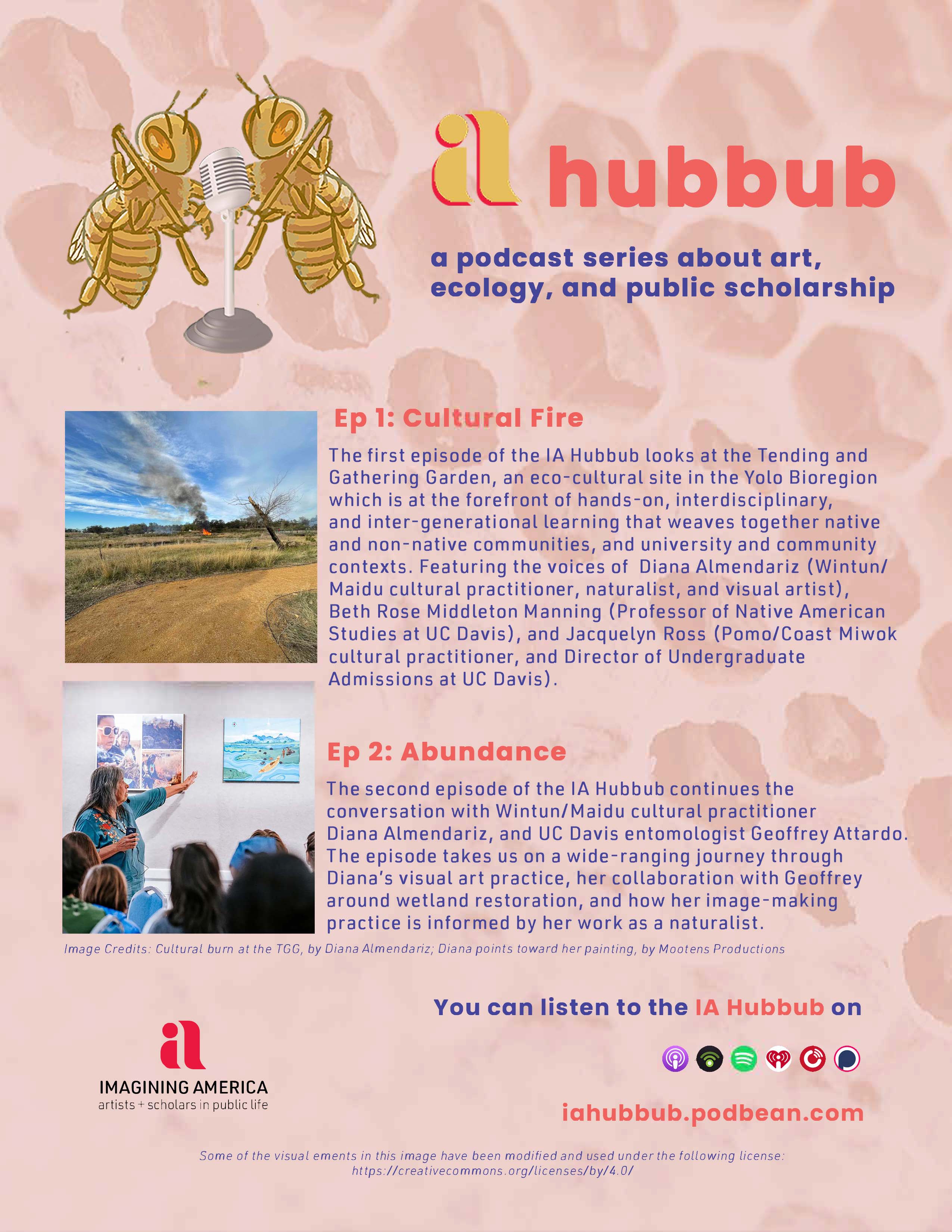 IAHubbub_PromoFlyer