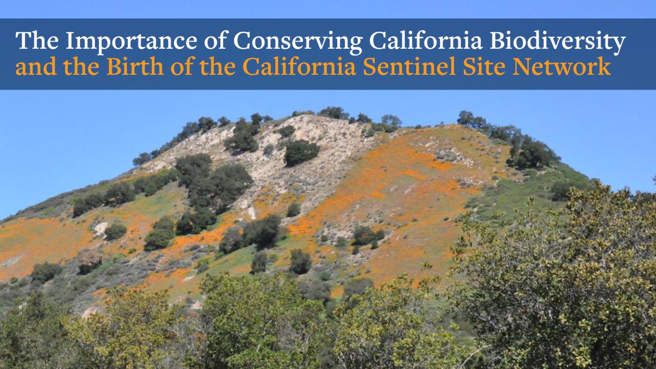 California_Biodiversity_Seminar