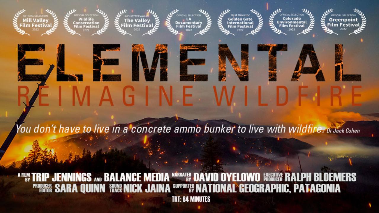 Elemental Movie Poster
