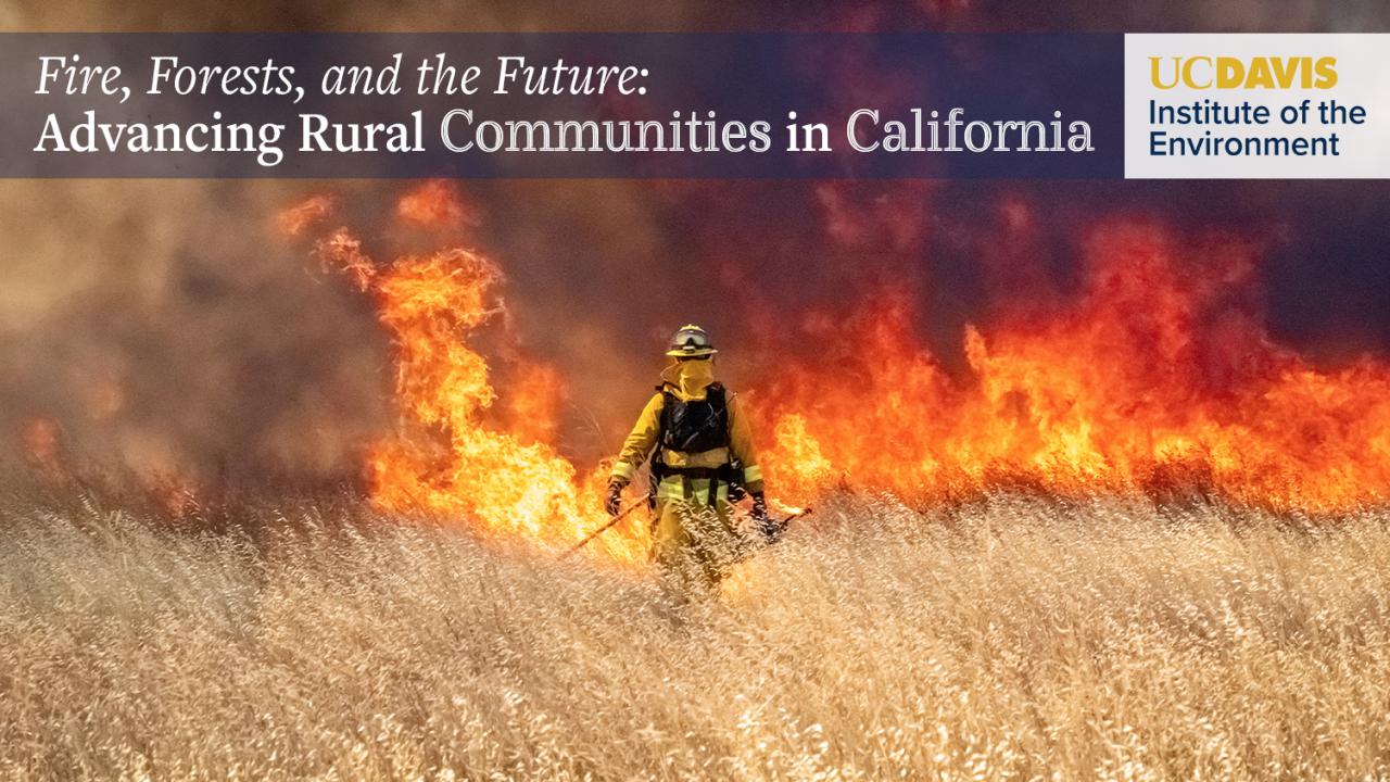 Fire, Forests, and the Future: Advancing Rural Communities in California