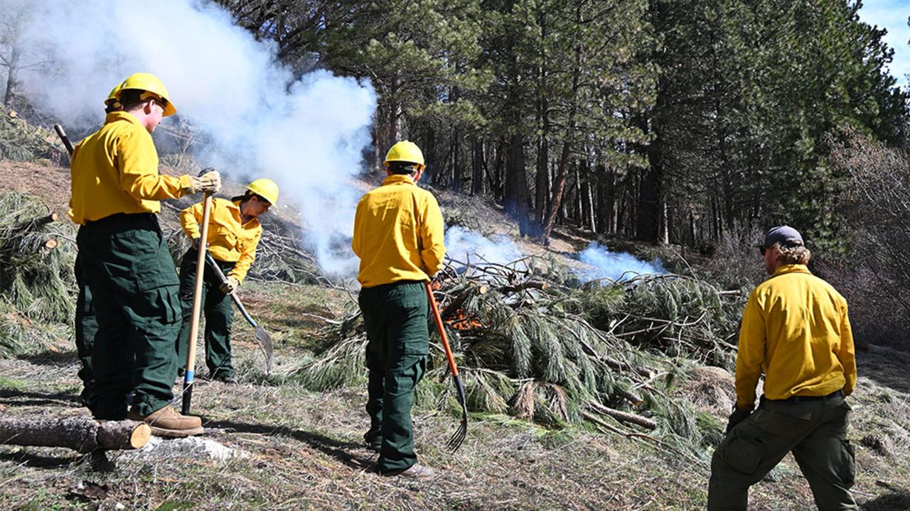 Forestry-Summit