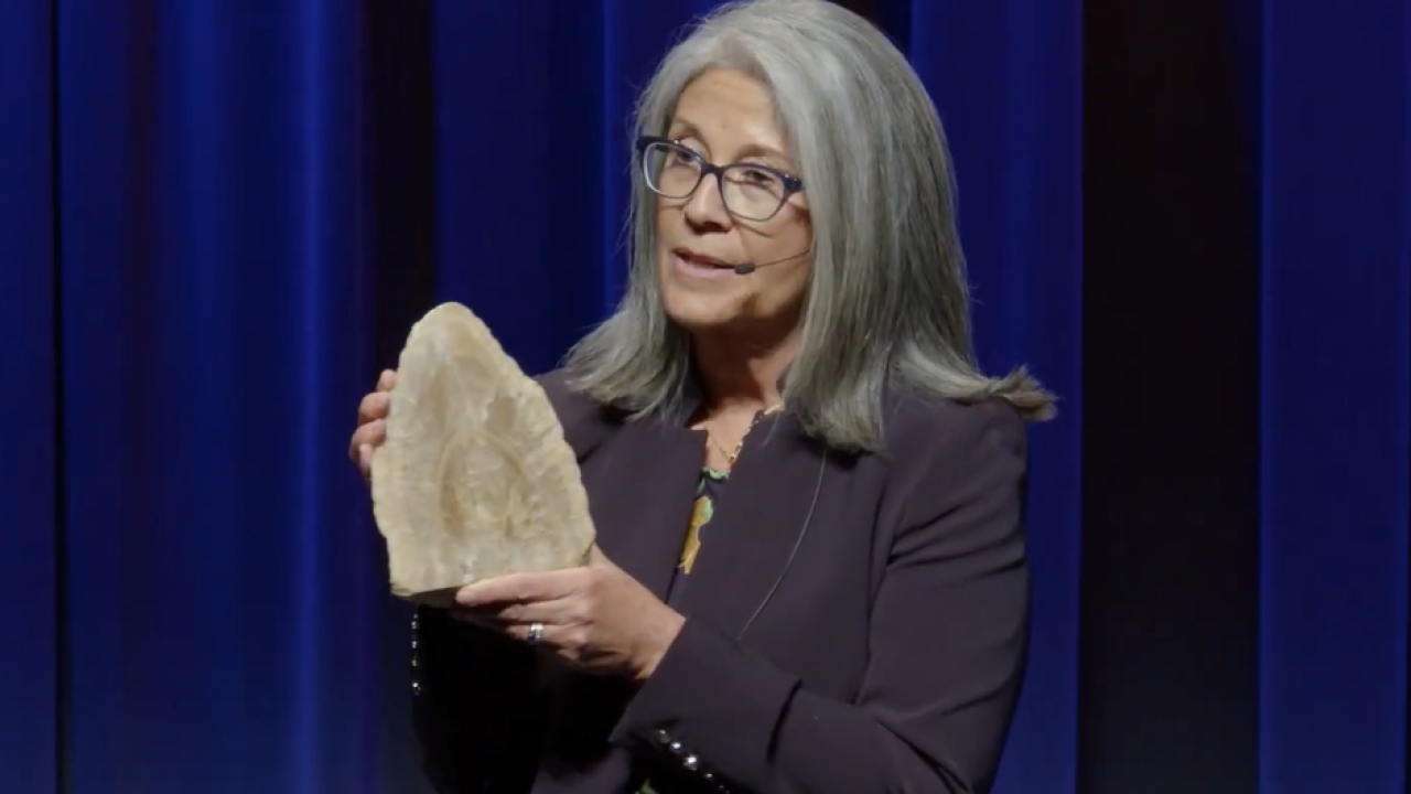 Institute Director stage, holding up a cross-section of a cave formation