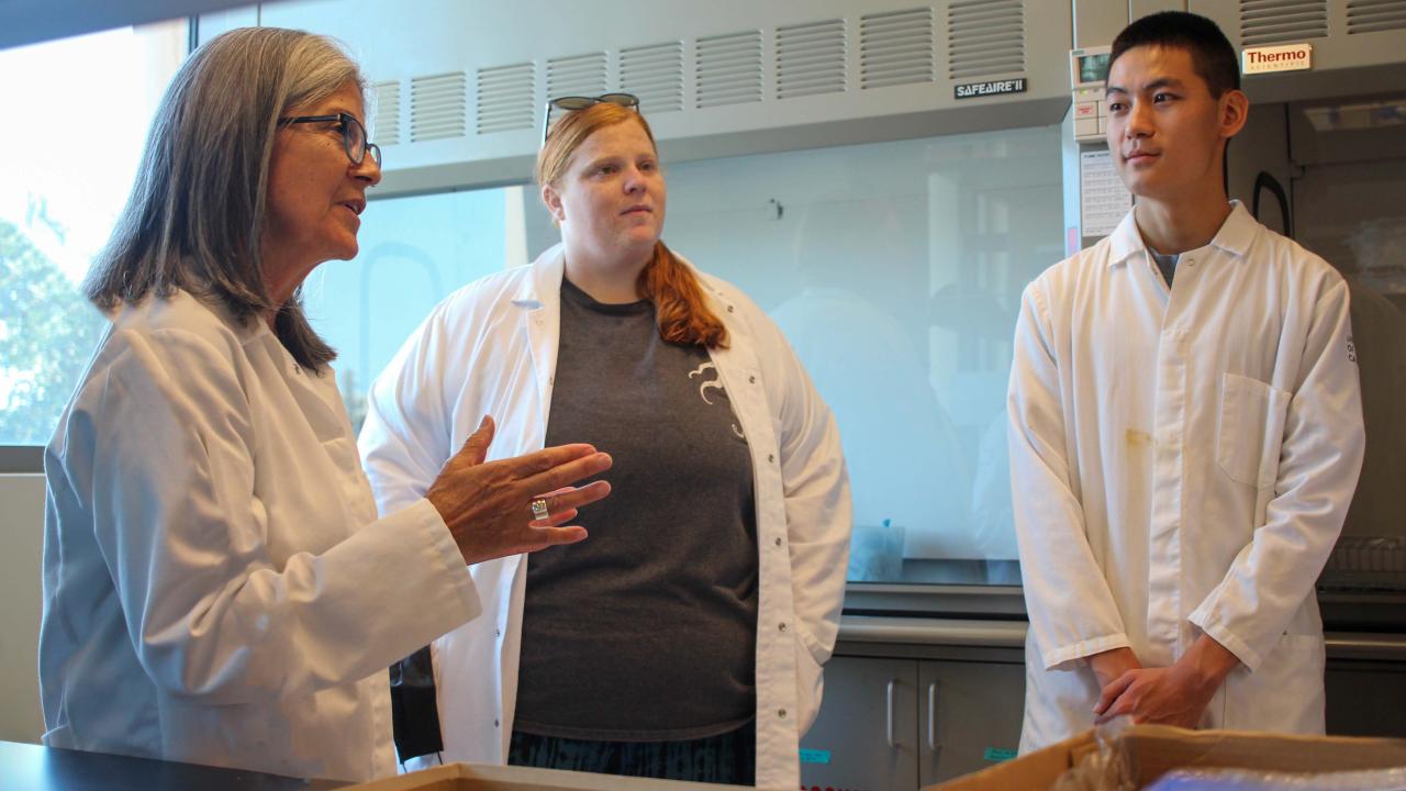 Isabel_Lab