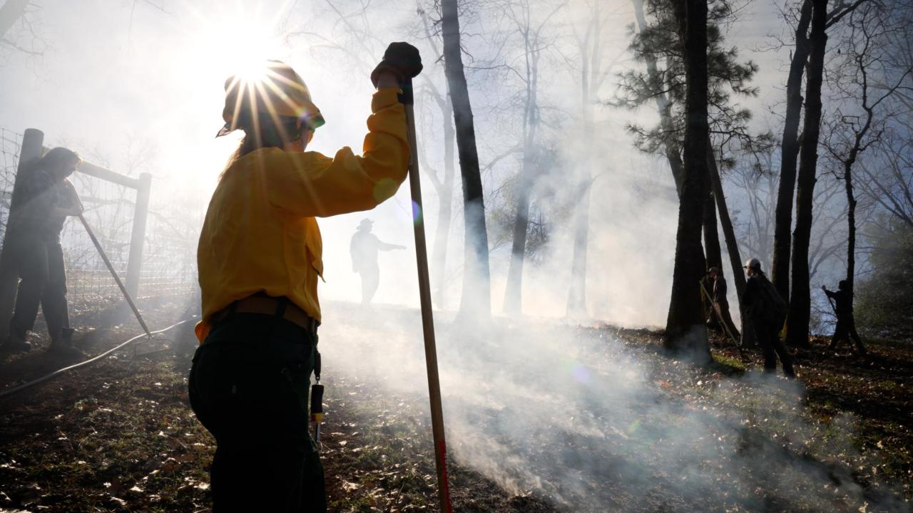 prescribed burn