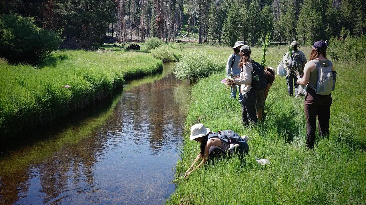 Students-stream-collecting_Lassen