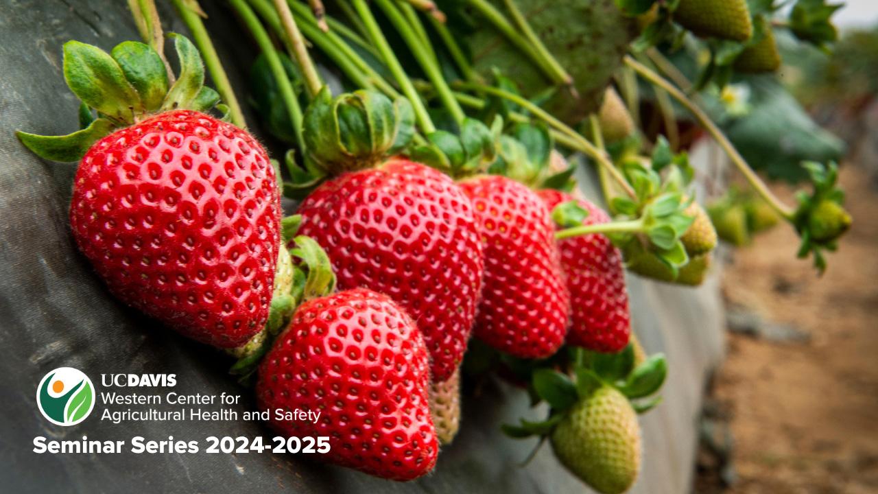 WCAHS Seminar Series 2024-2025