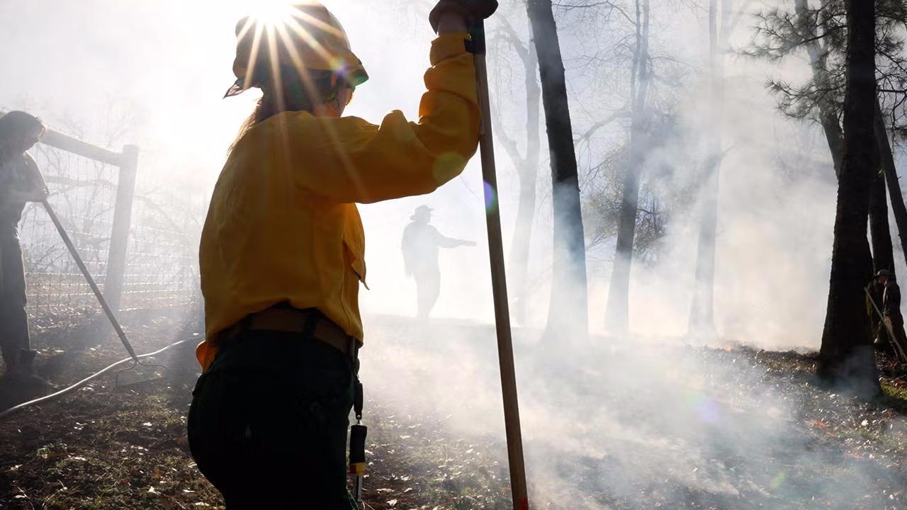 Smoke drifts over a clearing during a Placer County prescribed burn with UC Davis, a private landowner and community partners. (Tim McConville/UC Davis)