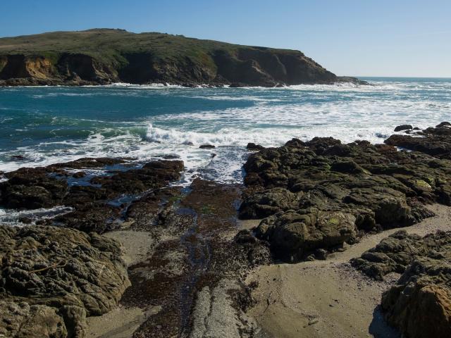 A view of Bodega Marine Reserve