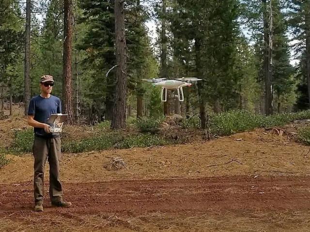Person flying a drone through the woods