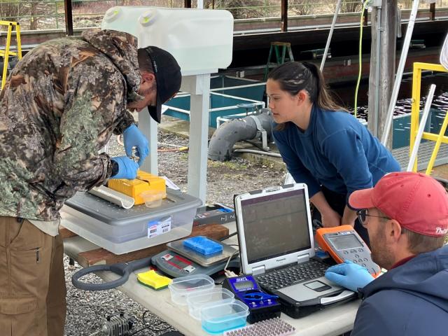 Researchers exmaming salmon at the Klamath River