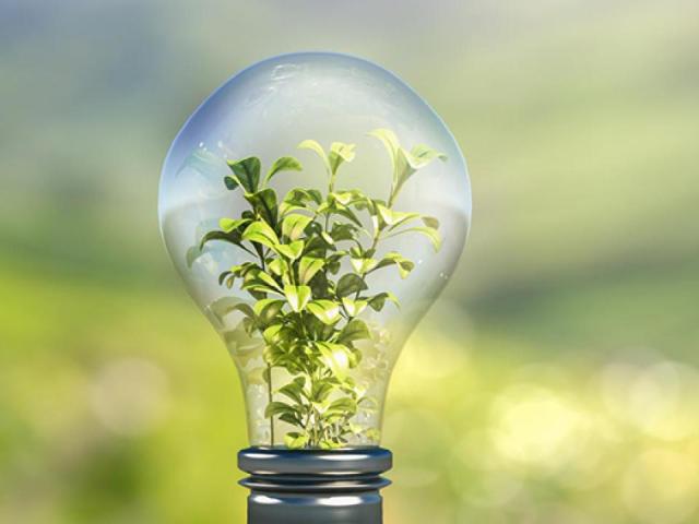 Photo of light bulb with environment in the background