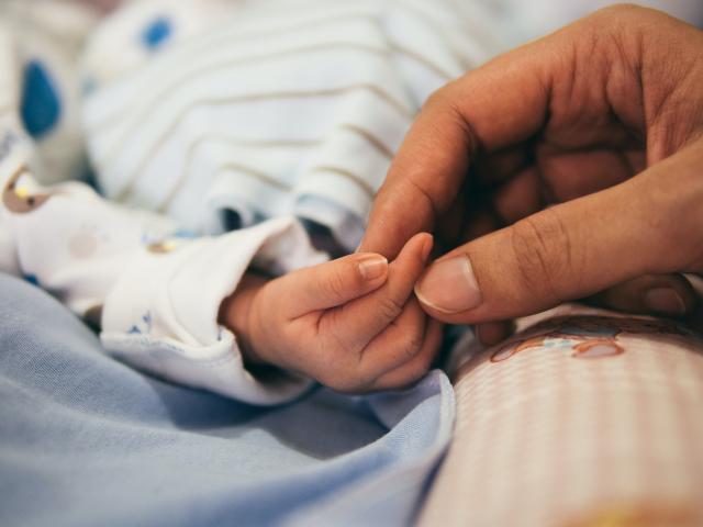 Hand holding a newborn baby's hand
