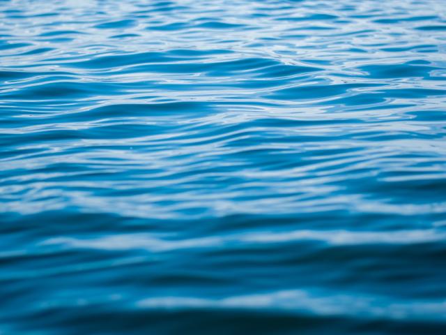 Close-Up Water Ripples