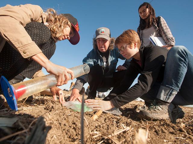 Students and a professor working as a group with soil in a field