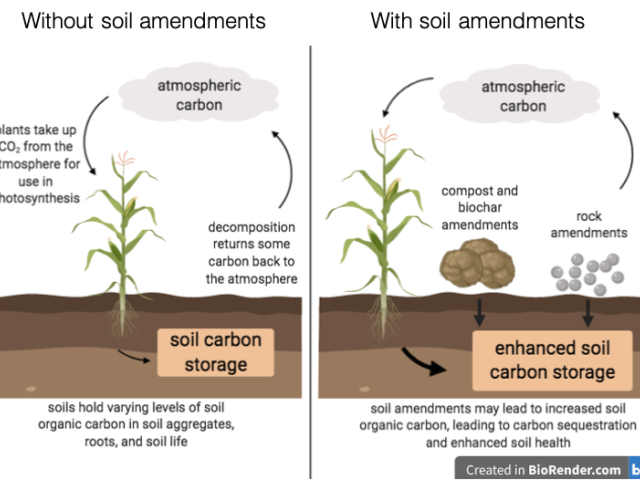 Graphic showing the importance of soil amendments