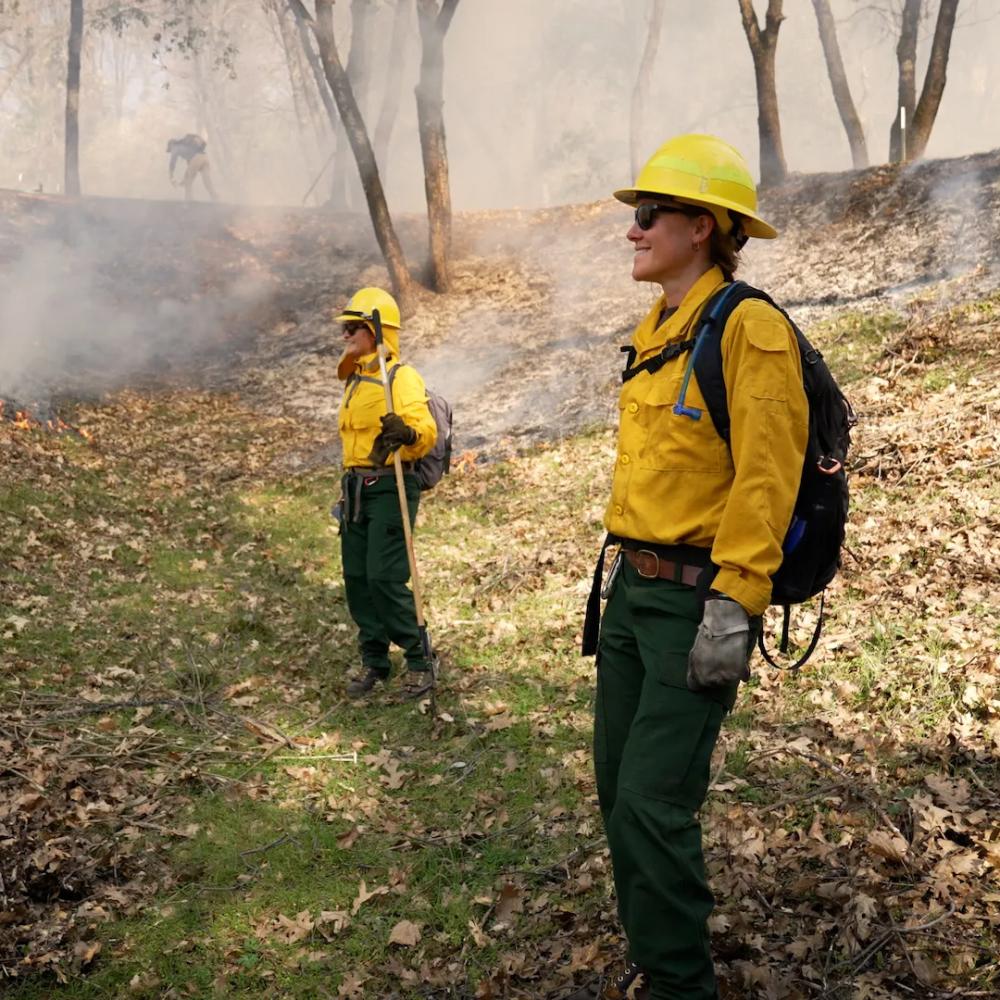 Controlled_Burn