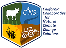 C4NS_Logo_3