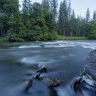 A rushing upper Klamath River is seen with conifer trees in the background.