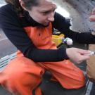 Meghan Holst - 2024 - fieldphoto