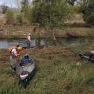 Putah Creek canoe salmon _(c) Dennis Cocherell-UC Davis