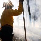 prescribed-burn-wildfires-uc-davis