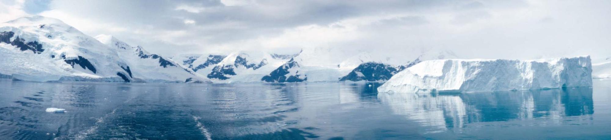 Polar