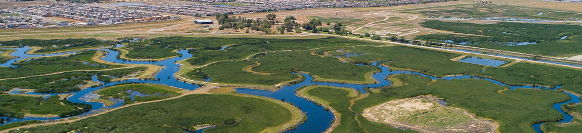 Managing Water - Dutch Slough