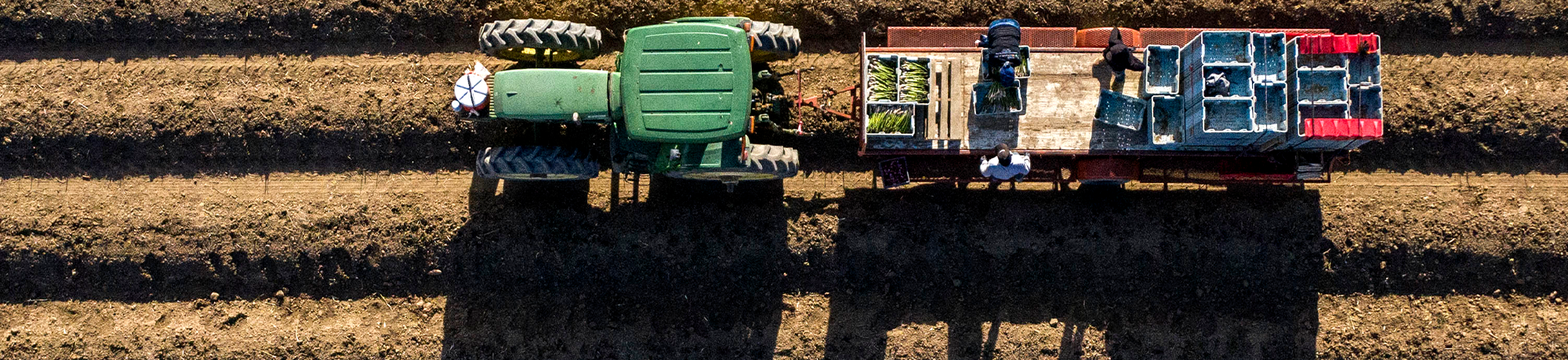 Tractor moving through a field, as see from above