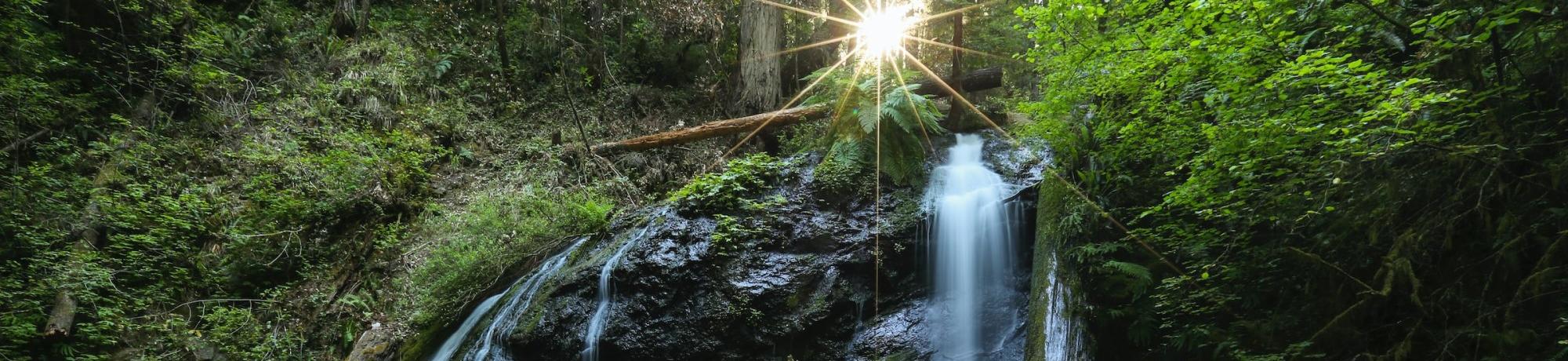 Shaded waterfall in forest