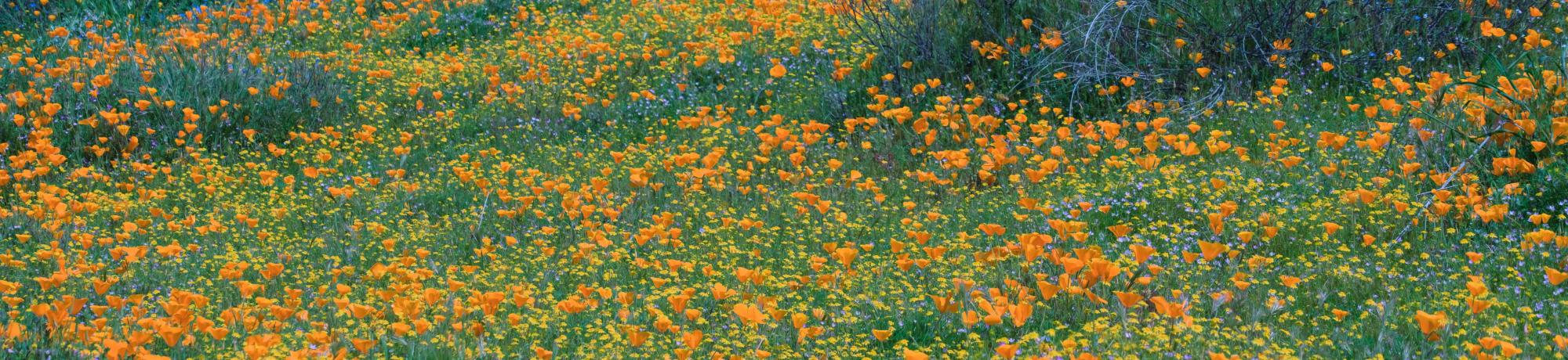 april-vasquez-zG3ddTkdYA8-unsplash